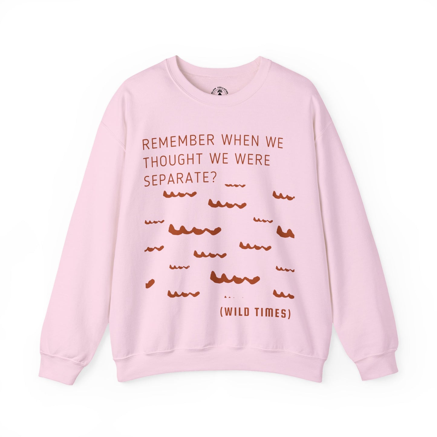 Remember When? Wild Times Waves - Sweatshit
