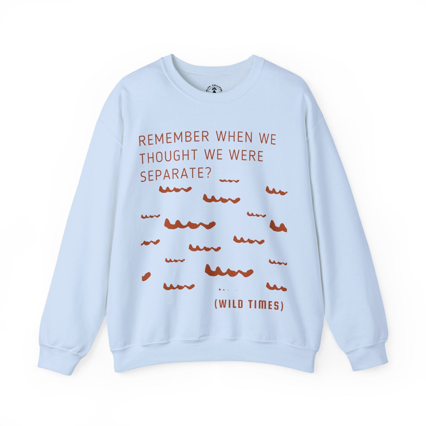Remember When? Wild Times Waves - Sweatshit