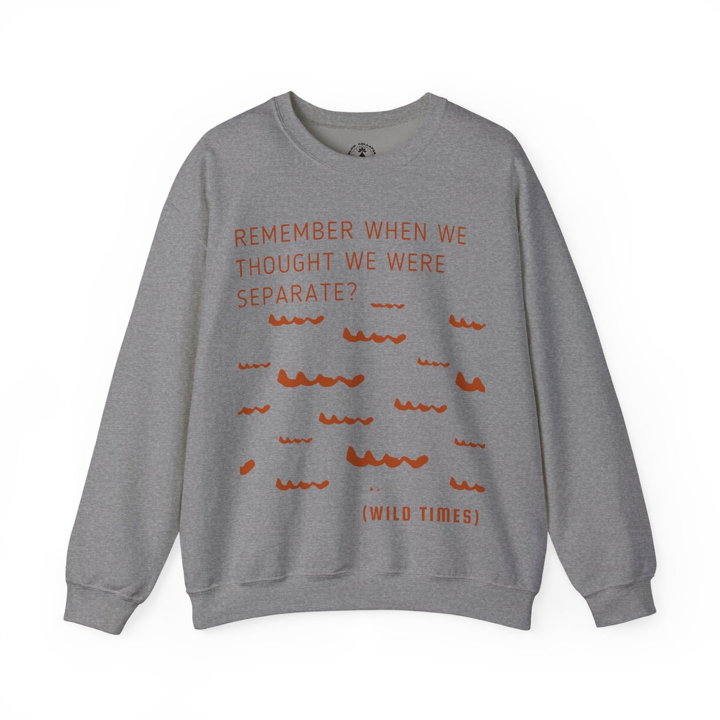 Remember When? Wild Times Waves - Sweatshit
