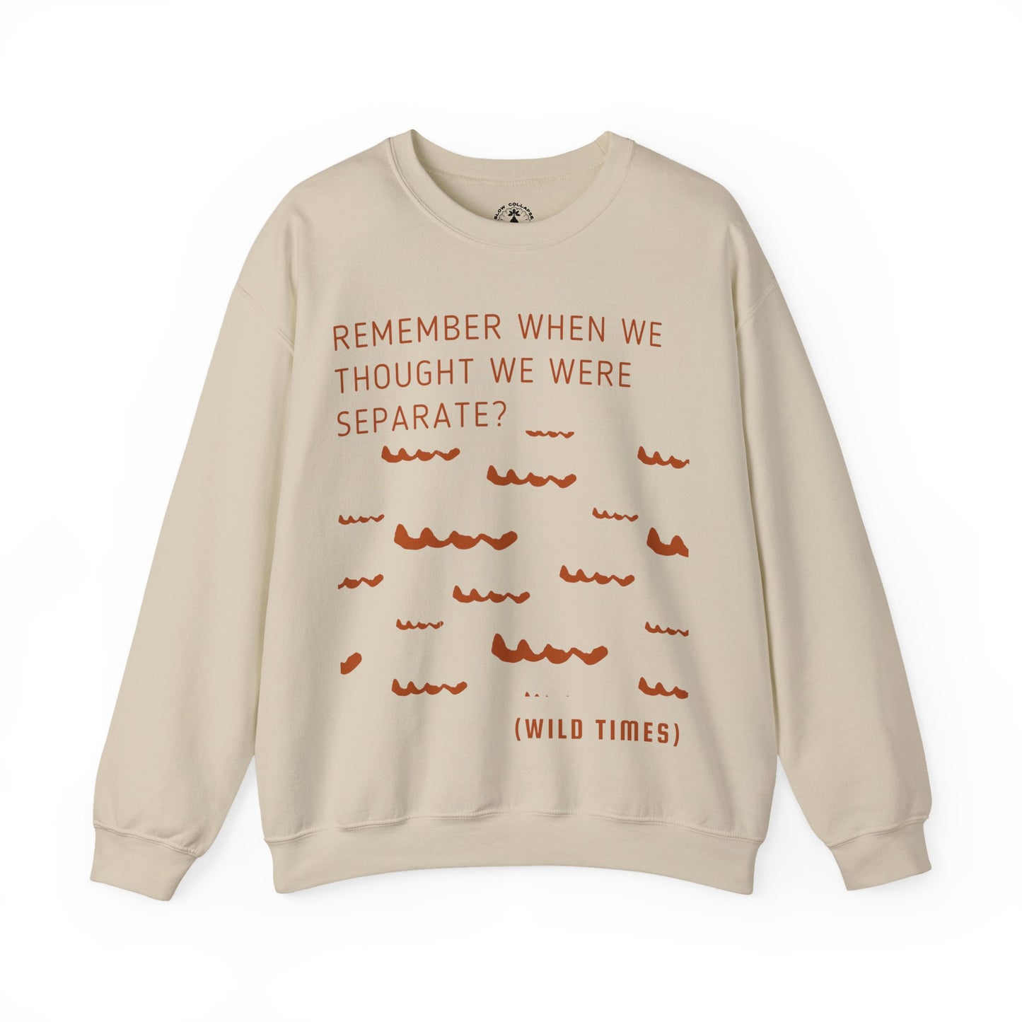 Remember When? Wild Times Waves - Sweatshit