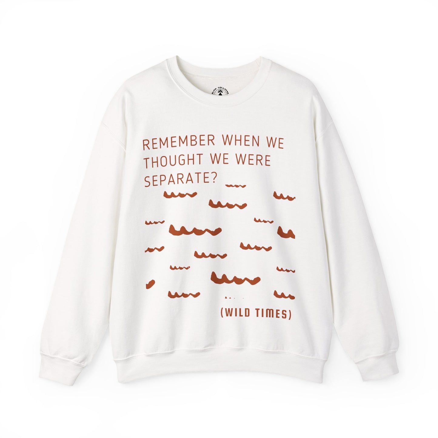 Remember When? Wild Times Waves - Sweatshit